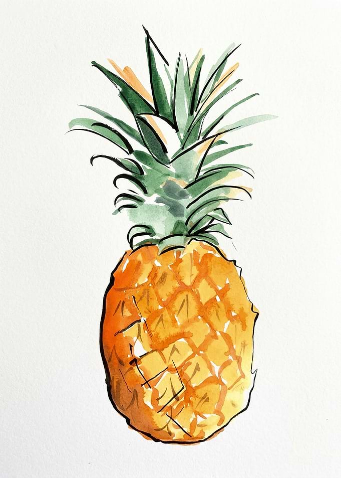 Watercolor Pineapple Illustration