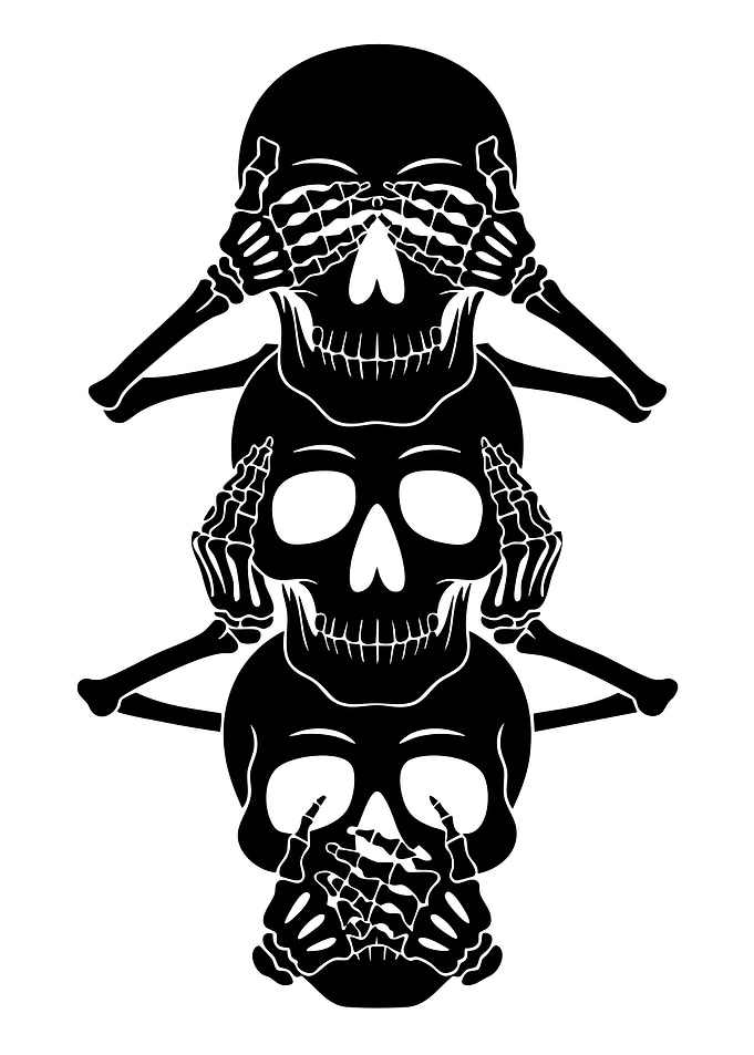 Three Wise Skulls Illustration