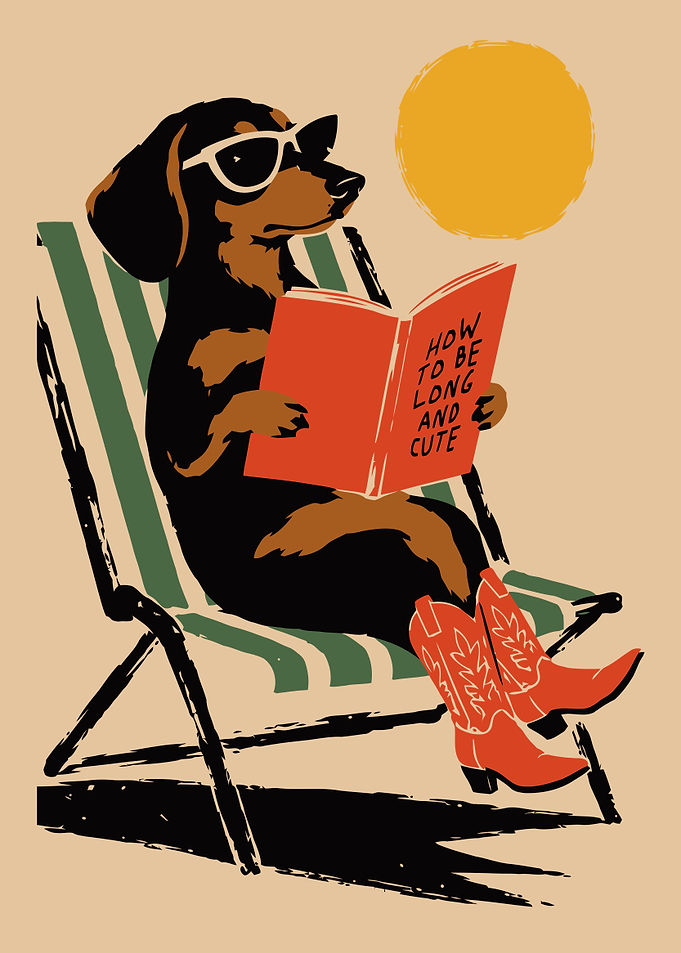 Cool Dachshund Reading in Cowboy Boots