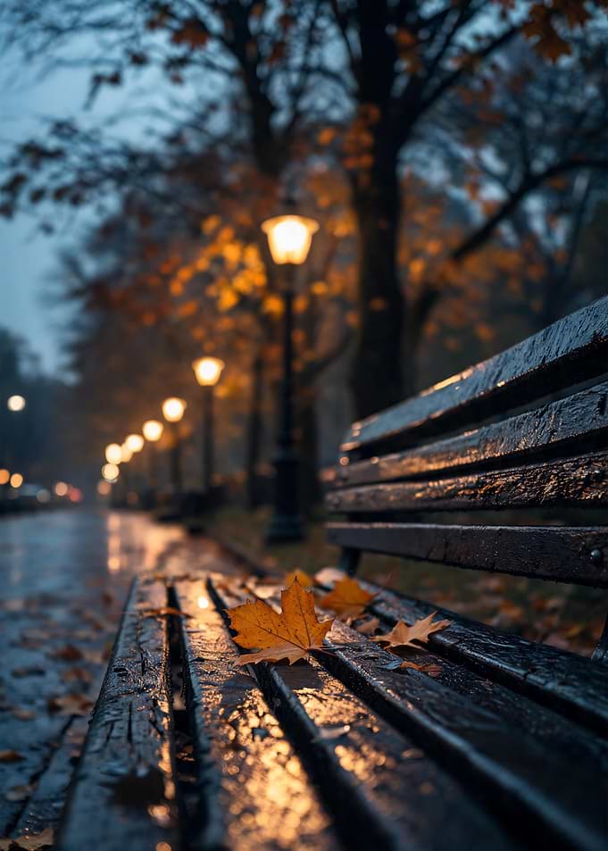 Rainy Autumn Park Bench at Dusk