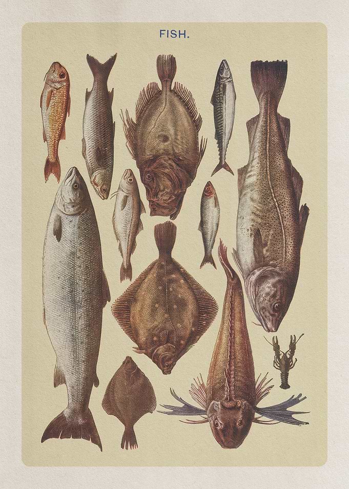 Vintage Fish Poster – Rustic Kitchen Art Print