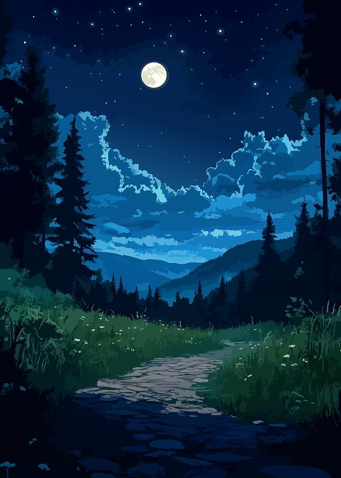 Moonlit Forest Path at Night