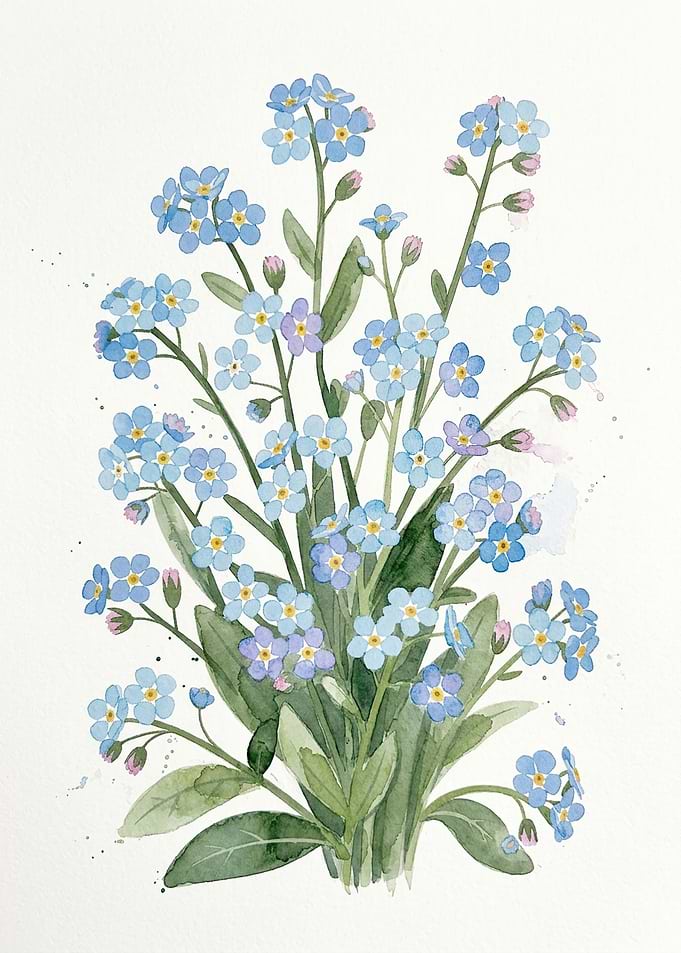 Watercolor Illustration of Forget-Me-Not Flowers