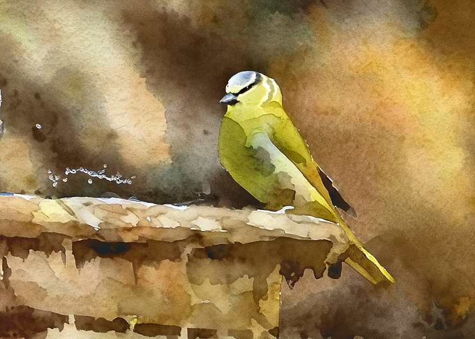 The Small Bird and the Garden Fountain