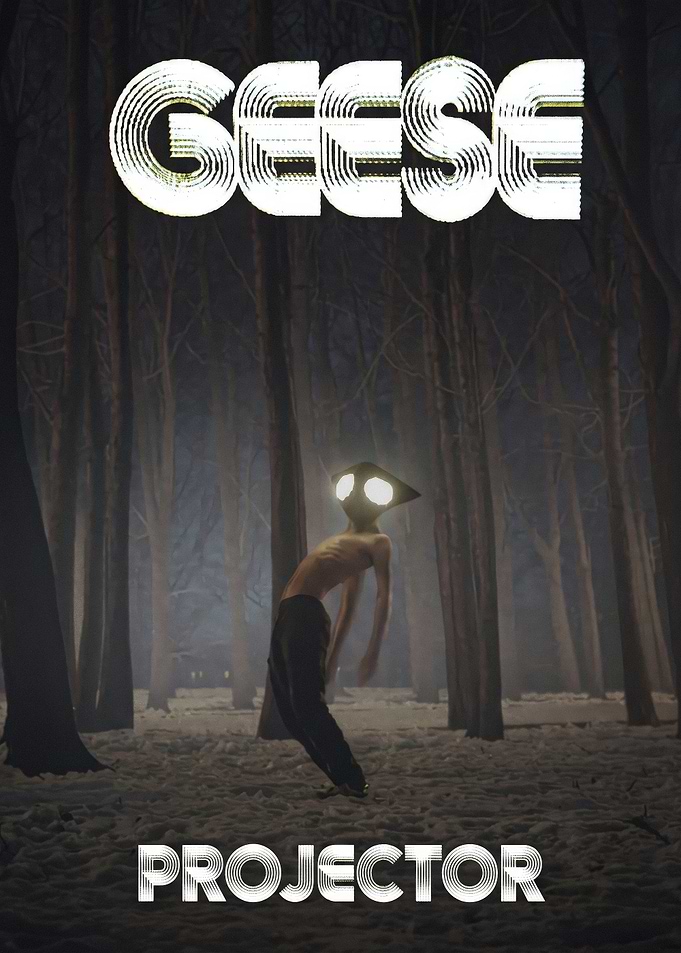 Geese Projector Album Cover Art
