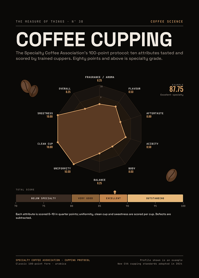 Coffee Cupping Score – SCA 100-Point Flavour Radar