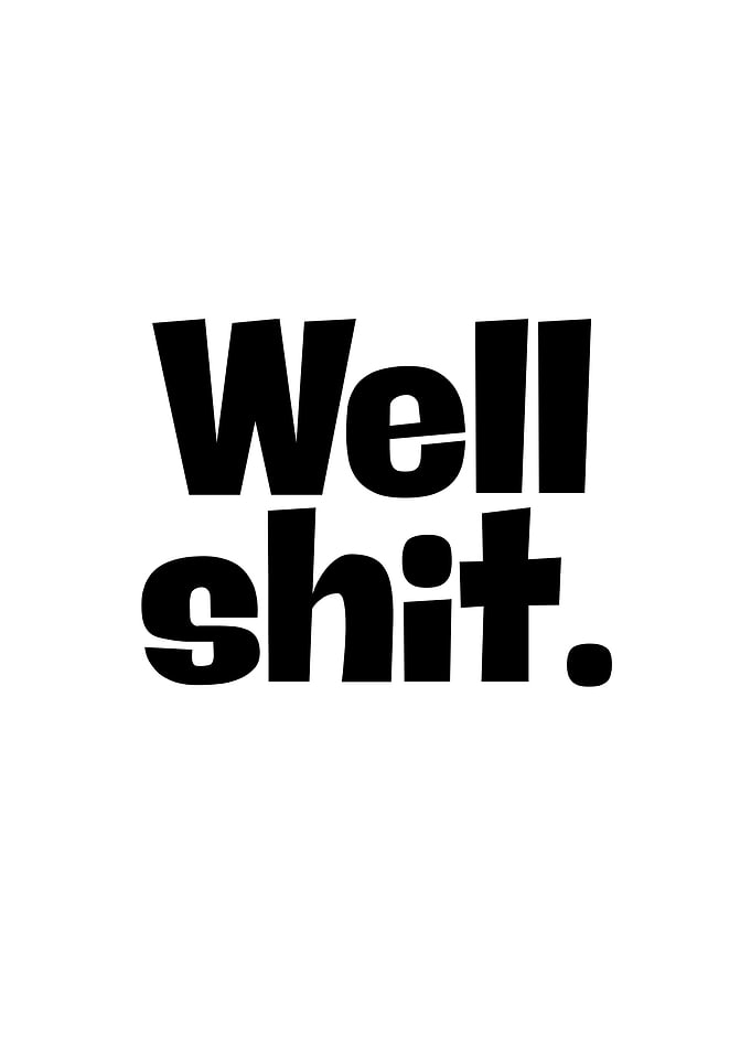 Well shit typography poster