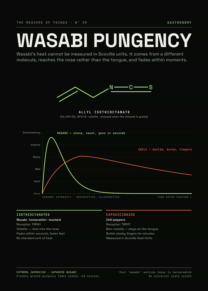 Wasabi Pungency – Allyl Isothiocyanate vs Capsaicin Heat