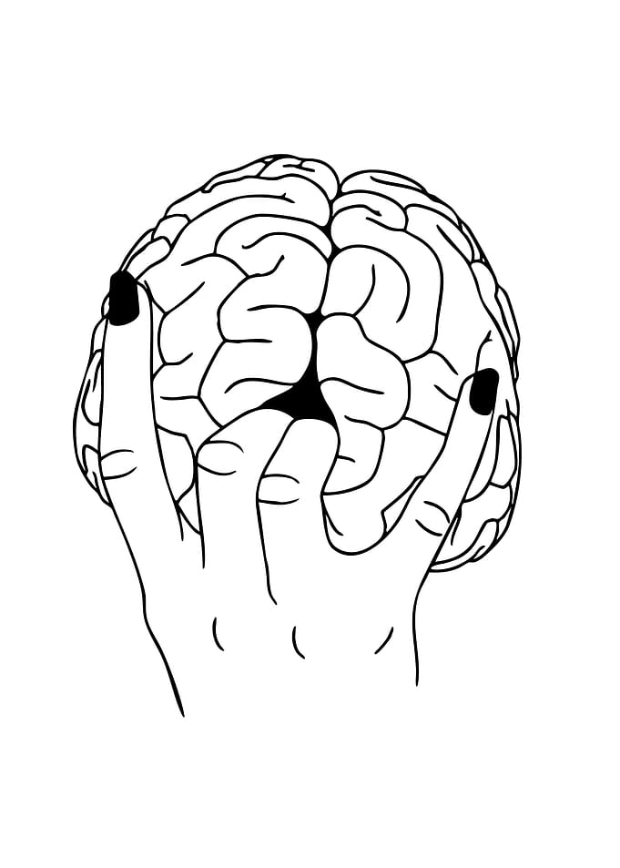 Hand Holding Human Brain Line Art