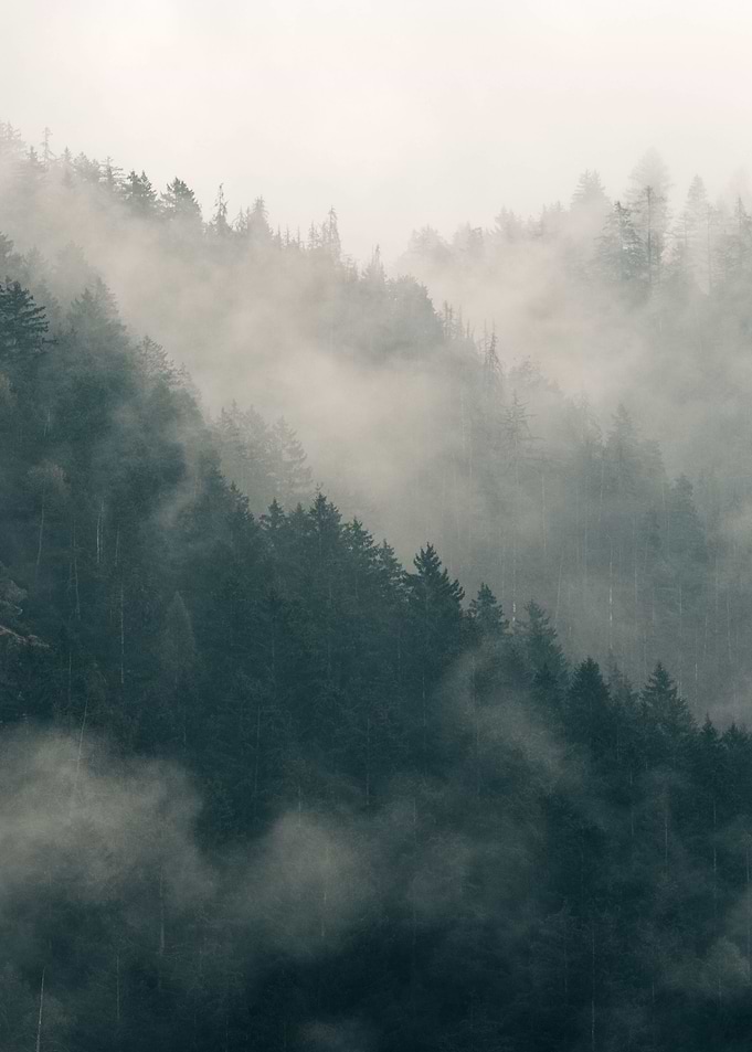Misty Forest Mountain Slope
