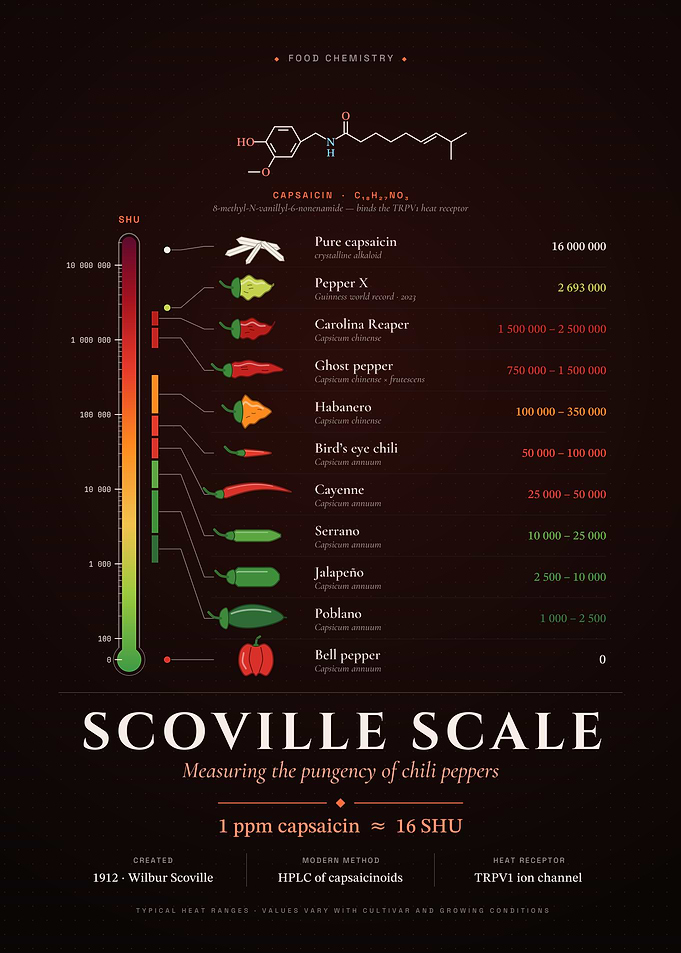 Scoville Scale Chili Pepper Infographic