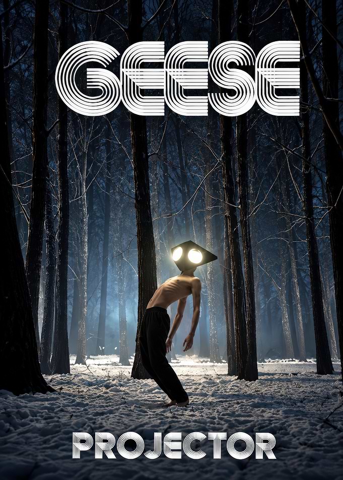 Geese Projector Album Cover Art