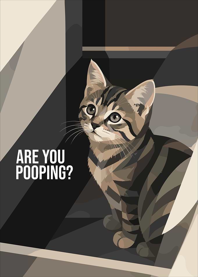 Funny Cat Bathroom Poster