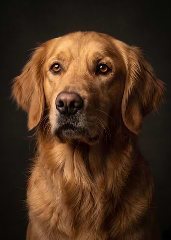 Latest drop