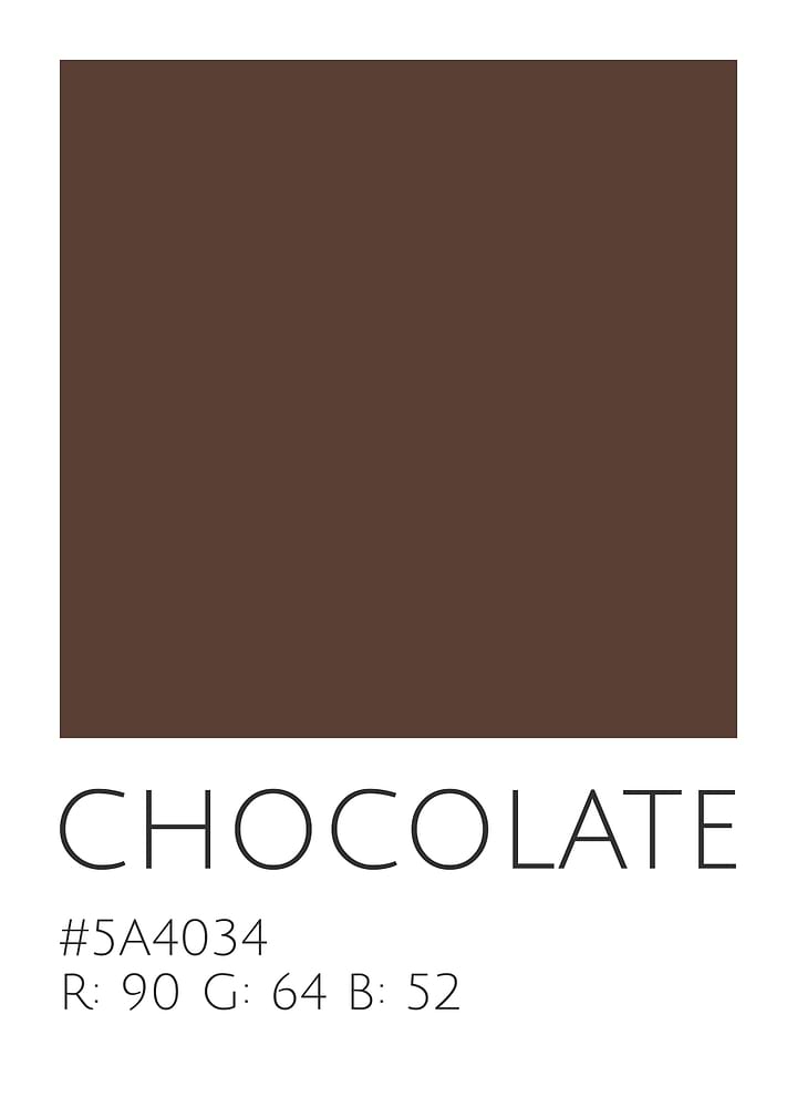 Chocolate Color Palette