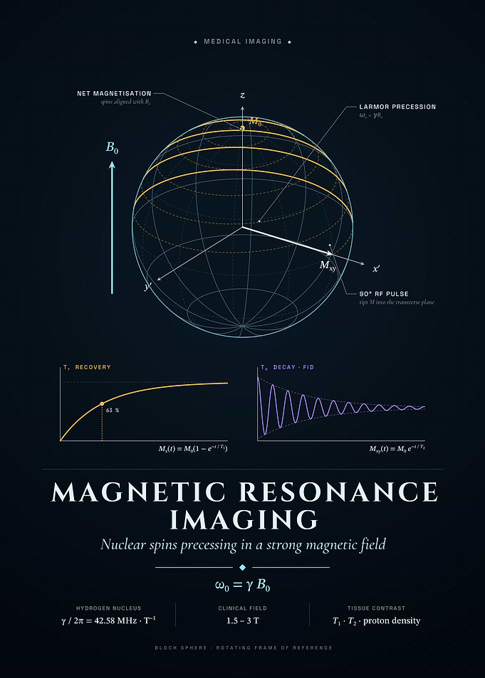 MRI Physics: Larmor Precession & Relaxation
