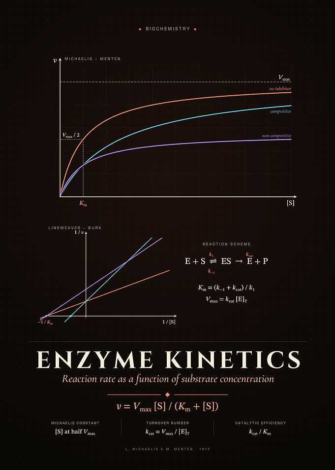 Enzyme Kinetics: Michaelis–Menten