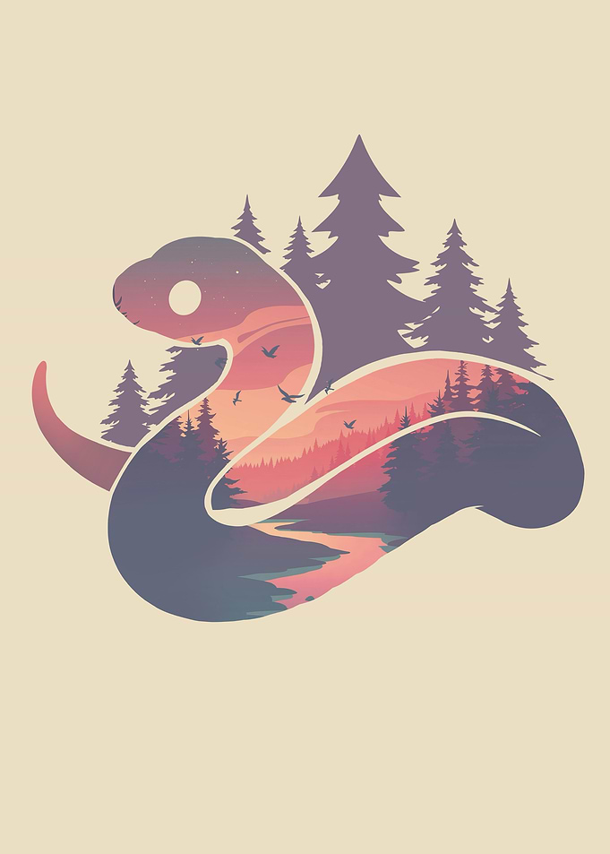 Cute Snake Forest Nature Sunset