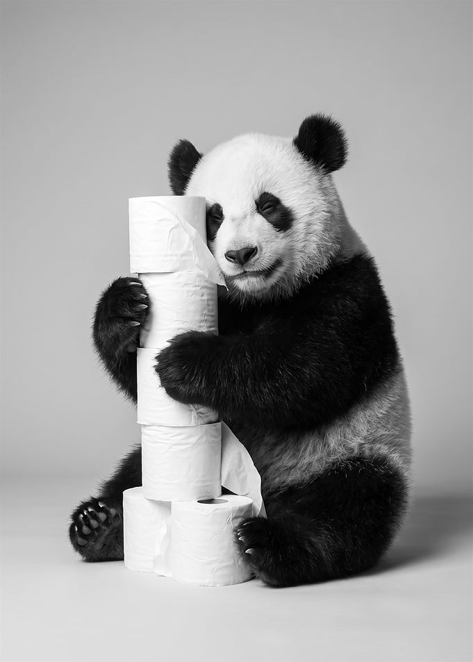Cute Panda Hugging Toilet Paper Rolls