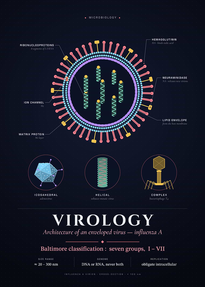Virology: Anatomy of the Influenza Virus