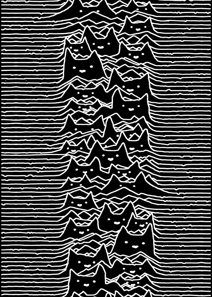 Joy Division Cat Parody Art