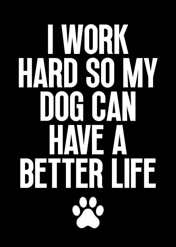 I Work Hard For My Dog