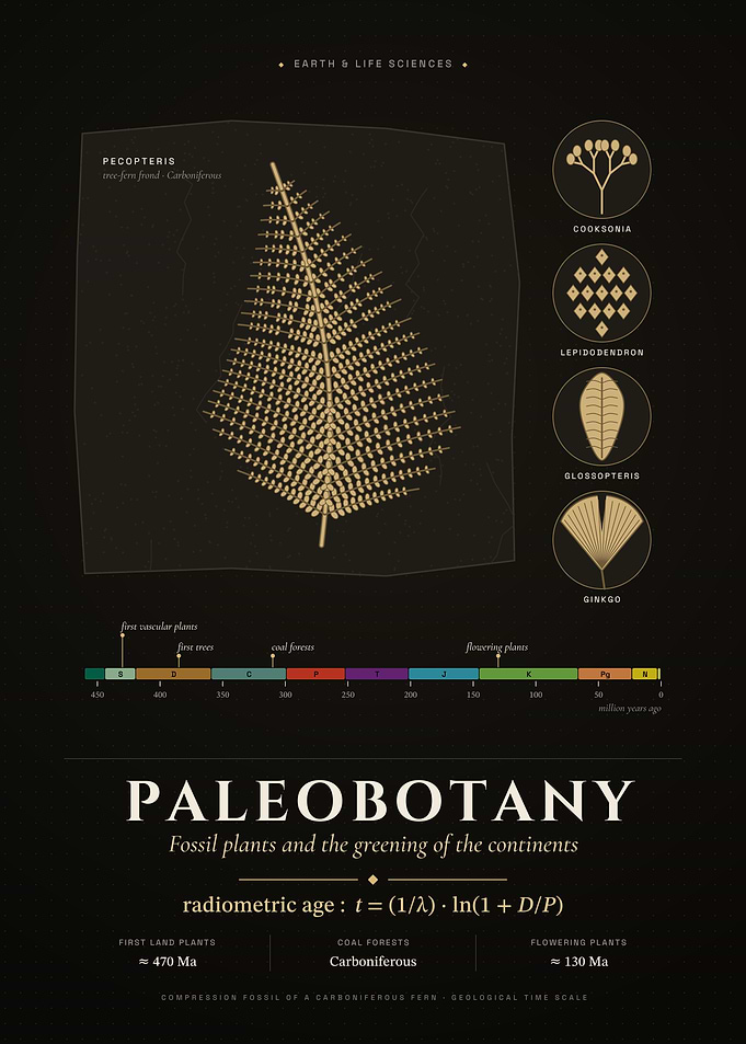 Paleobotany: Fossil Fern & Deep Time