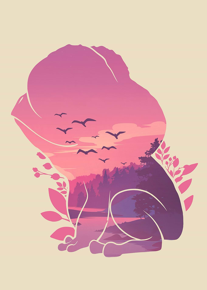 Frog Nature Sunset Adventure