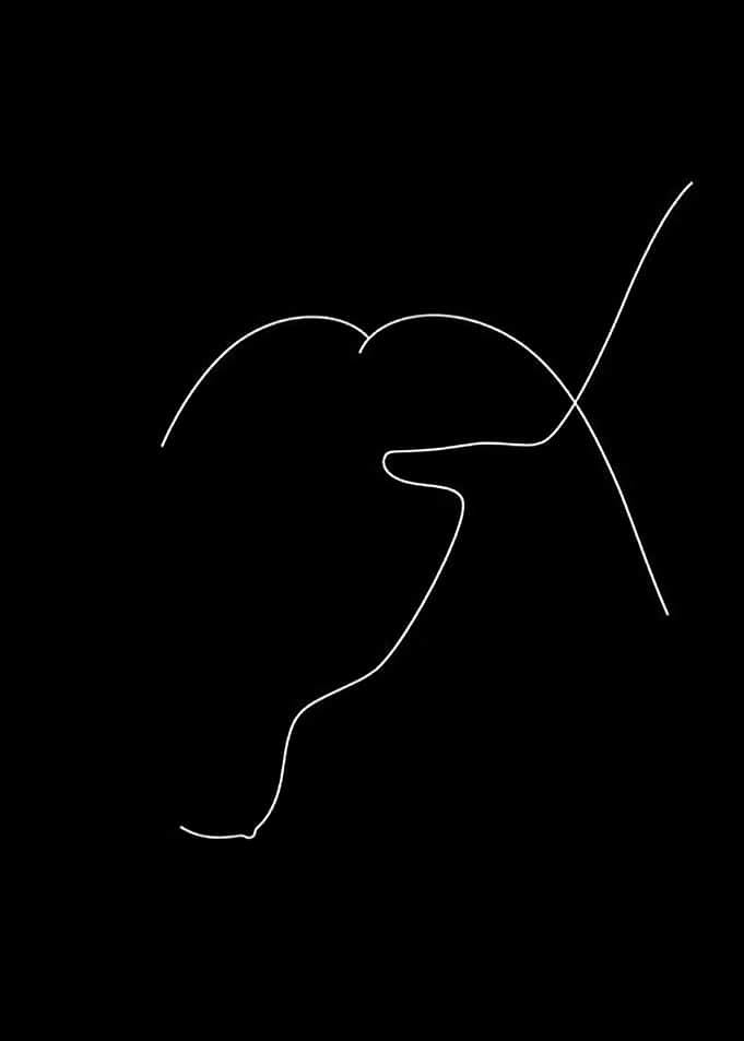 Minimalist Single Line Horse Profile
