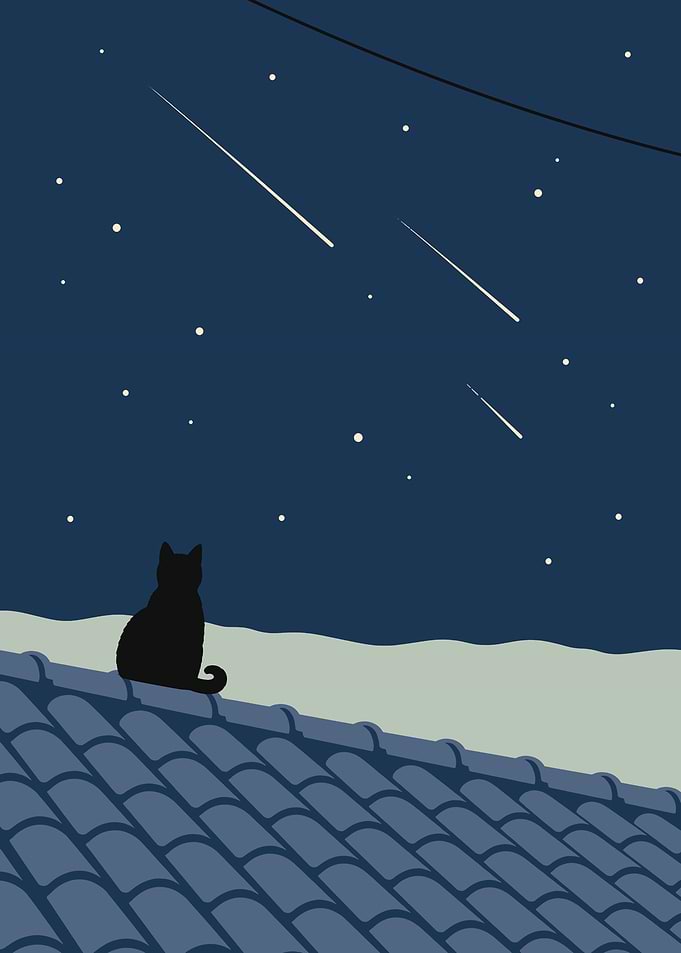 Black Cat on the Roof under Shooting Stars – Japandi Flat Poster Art