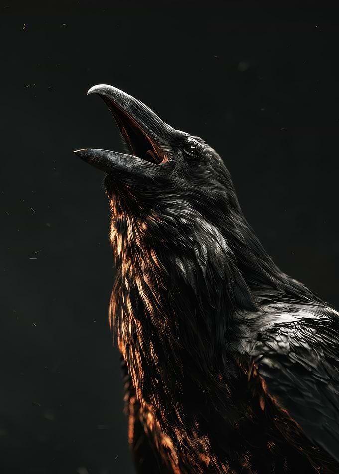 Majestic Raven Calling Out