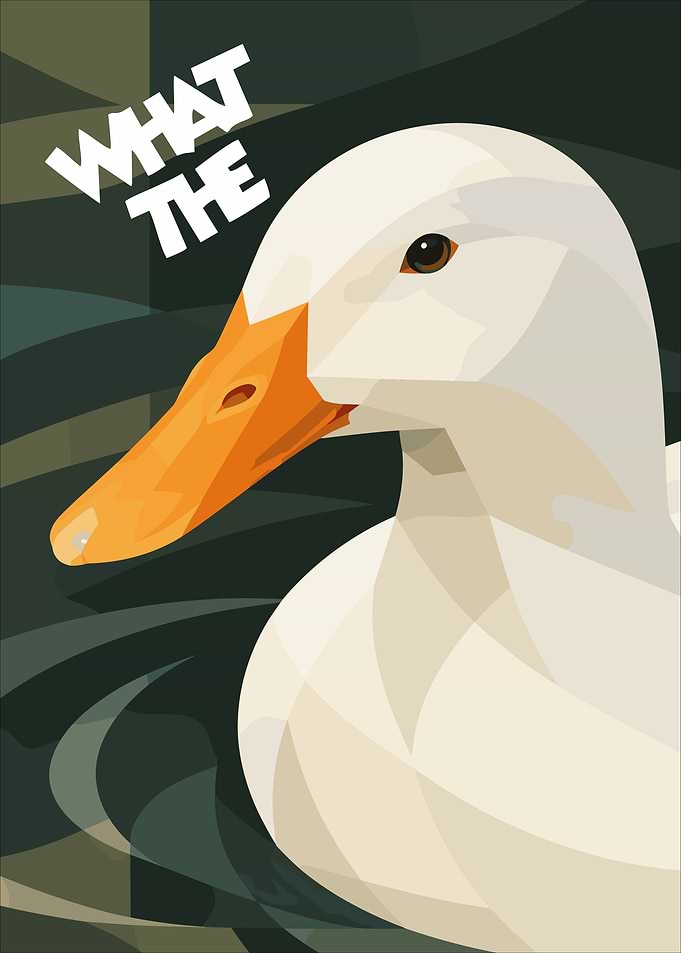 What The Duck Minimalist Poster