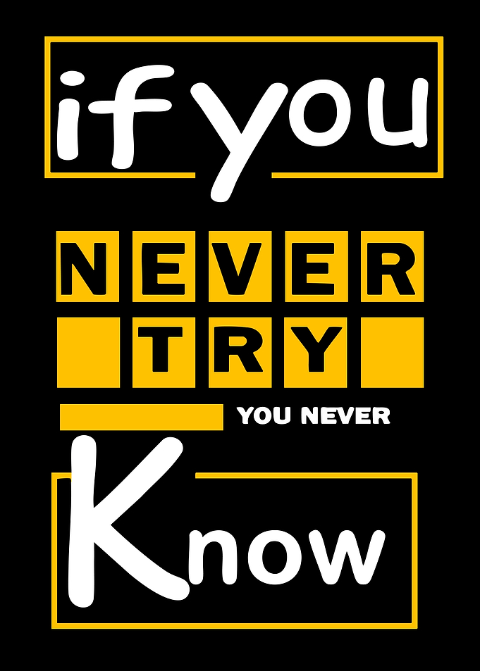 If You Never Try You Never Know Quote