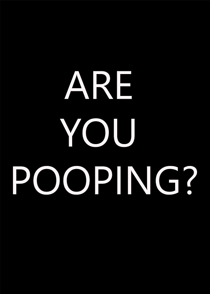 Are You Pooping Text Art