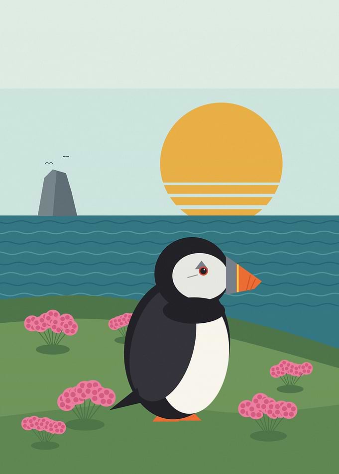 Puffin on a Clifftop at Sunset with Sea Pinks