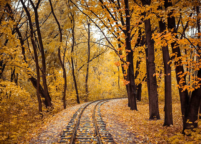 Autumn Railway Through Golden Forest
