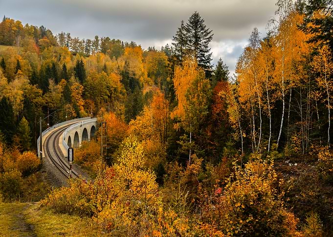 Autumn Railway Bridge in Forest