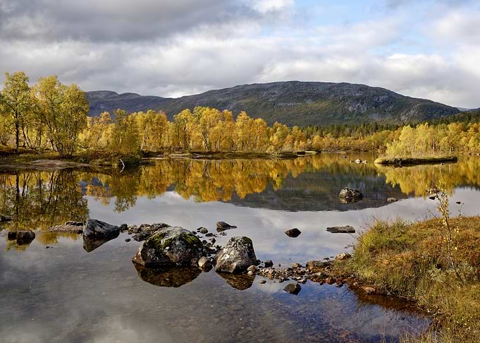 Autumn Lake with Golden Trees in Ånderdalen National Park on Senja