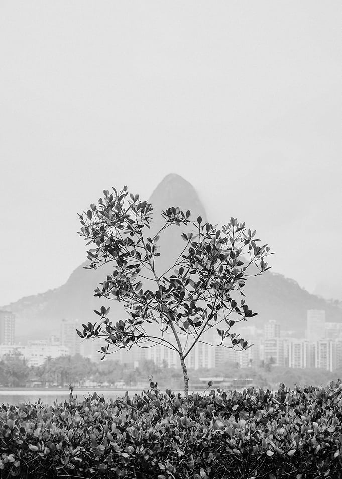 Black and White Rio Landscape
