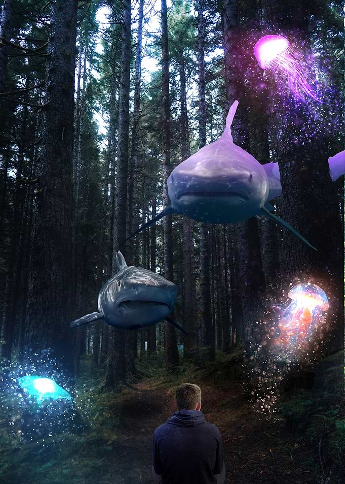 Mystical Forest Encounter – Sharks and Jellyfish