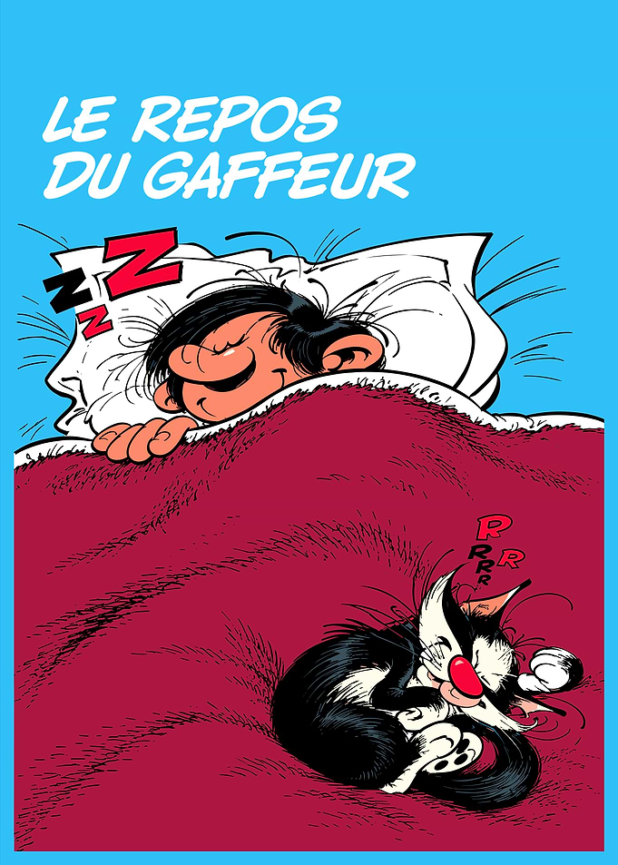 Gaston Lagaffe Sleeping with Cat