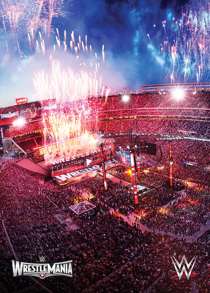 WrestleMania 31 at Levi's Stadium Vertical