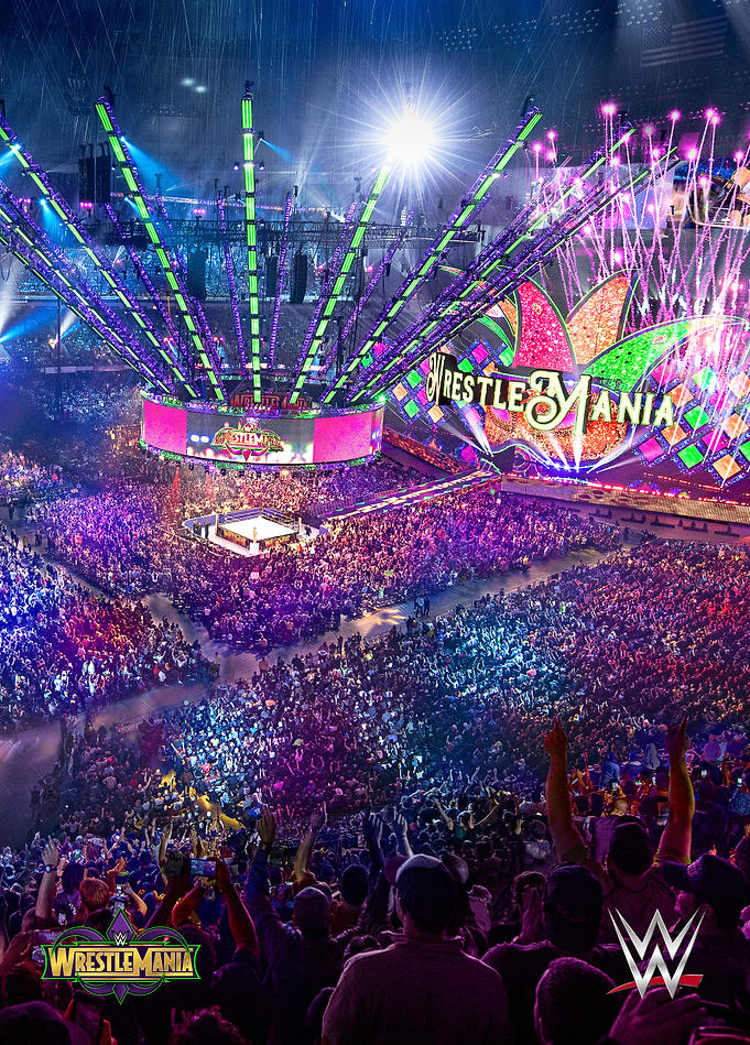 WrestleMania 34 Spectacle: Lights and Crowd Vertical