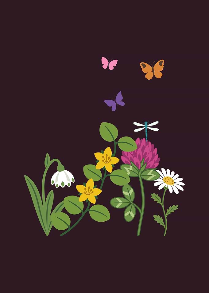 Flowers Botanical Nature Illustration Garden