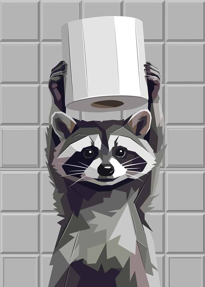 Raccoon Holding Toilet Paper Roll