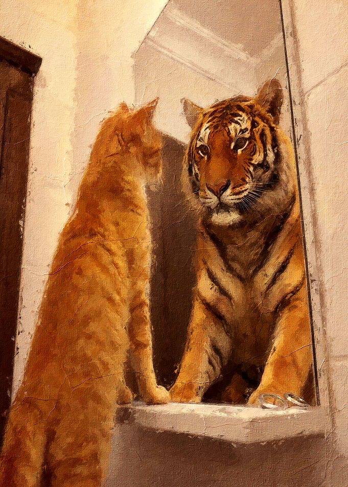 Cat Looking at Tiger Reflection
