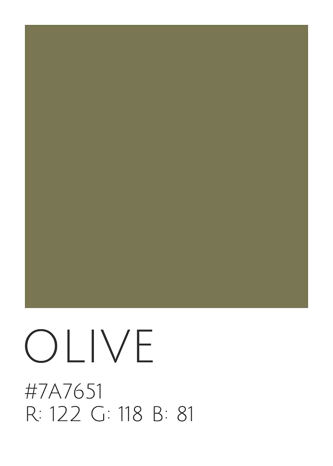 Olive Color Palette