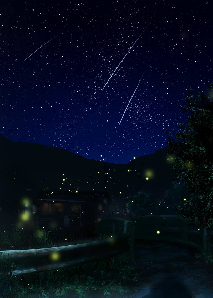 Fireflies Under a Starry Night Sky