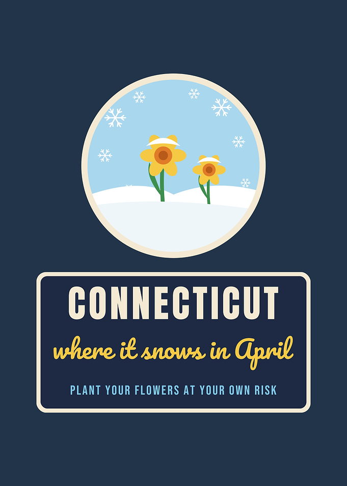 Connecticut Where It Snows In April Funny Spring
