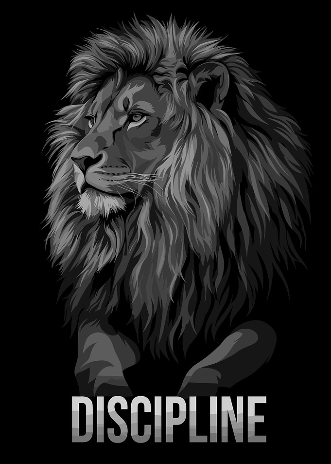 Lion Discipline Motivational Poster